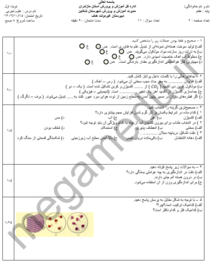 نمونه سوال ترم اول علوم هفتم با پاسخ تشریحی