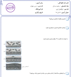 دانلود نمونه سوالات درس چهارم علوم پنجم بهمراه پاسخ