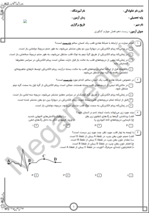 پکیج نمونه سوالات کنکور زیست دهم -فصل چهارم(10سال اخیر)تستی+پاسخنامه