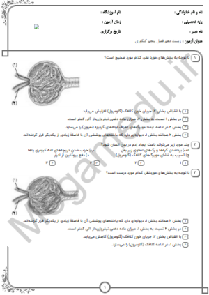 پکیج نمونه سوالات کنکور زیست دهم - فصل پنجم(10سال اخیر)تستی+پاسخنامه