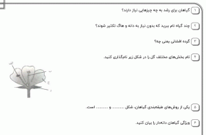 نمونه سوال علوم چهارم ، درس دوازدهم سری اول همراه با پاسخنامه