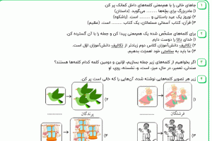 نمونه سوال فارسی دوم ، درس پانزدهم سری سوم همراه با پاسخنامه